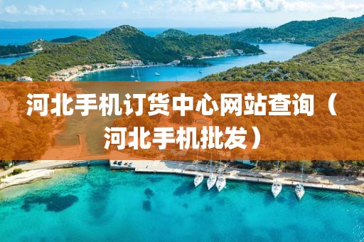 河北手机订货中心网站查询（河北手机批发）